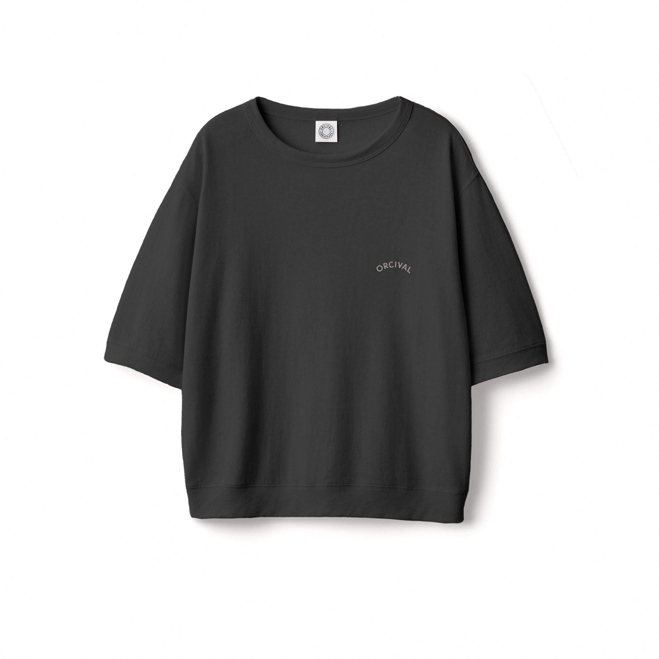 Women's See Through Crew Neck Short Sleeve Pullover